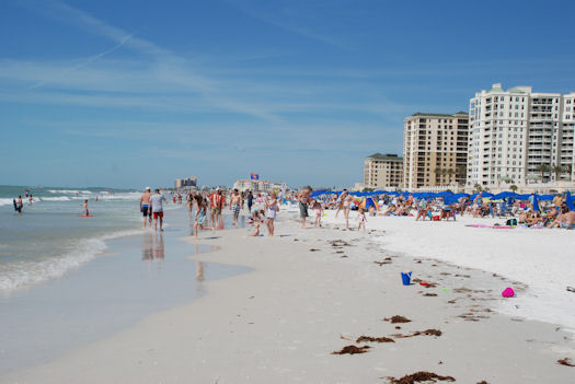 Beach At Midday